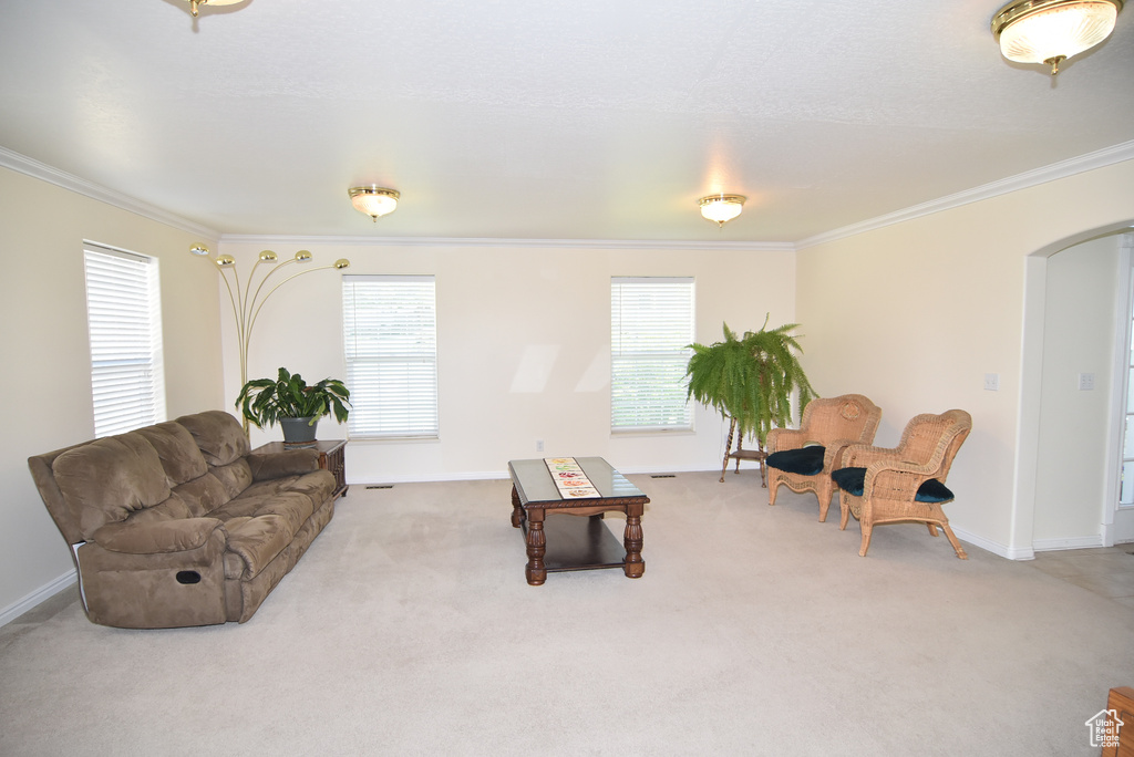 Living area with arched walkways, crown molding, light carpet, and baseboards
