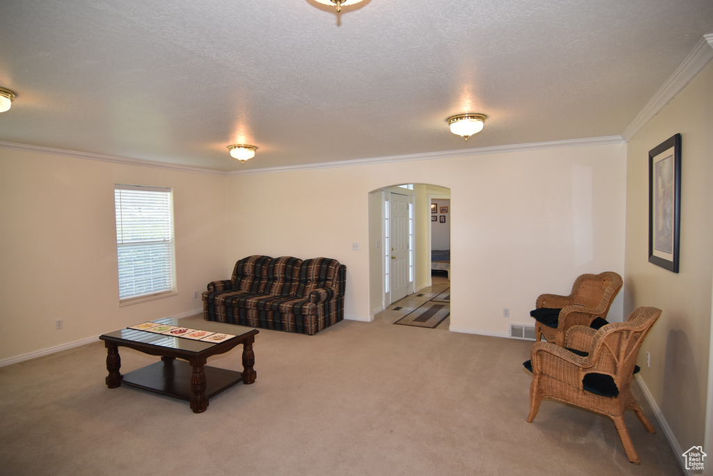 Living room with arched walkways, ornamental molding, carpet flooring, and baseboards