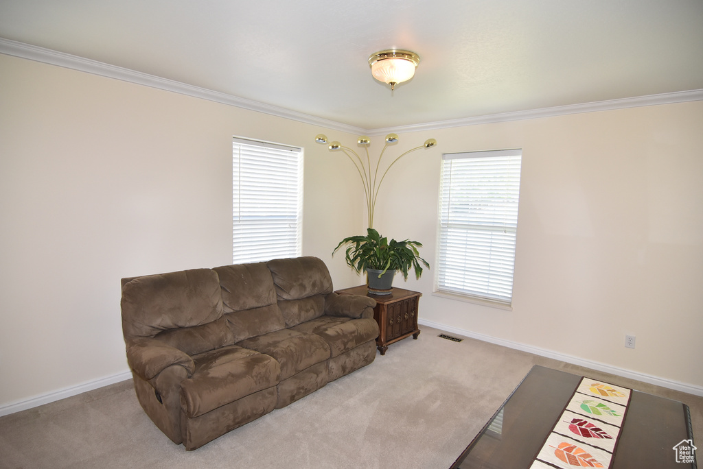 Carpeted living area with crown molding and baseboards