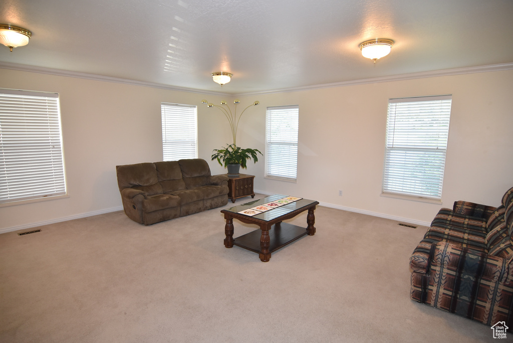 Carpeted living area with ornamental molding, healthy amount of natural light, and baseboards
