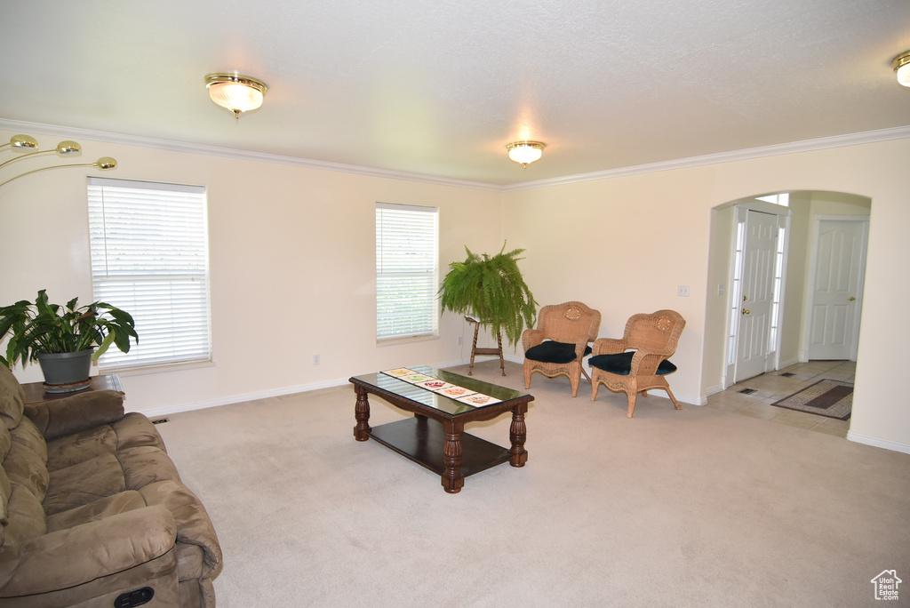 Living room featuring arched walkways, ornamental molding, light colored carpet, and baseboards