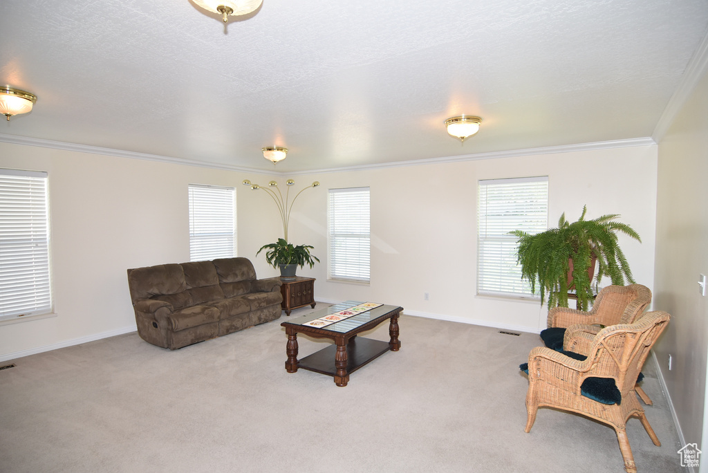 Carpeted living area with ornamental molding and baseboards