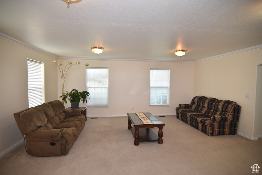 Living room with ornamental molding, carpet floors, and baseboards