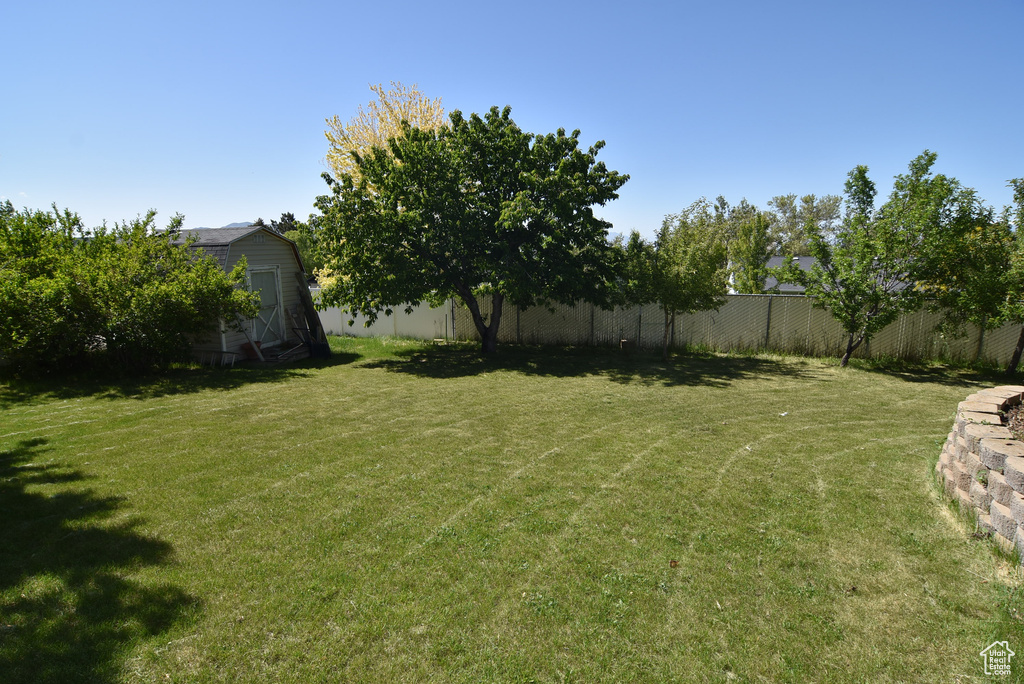 View of yard
