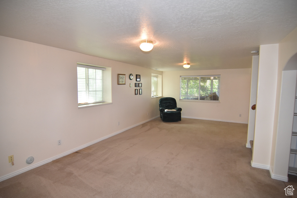 Unfurnished room with plenty of natural light, carpet, a textured ceiling, and baseboards