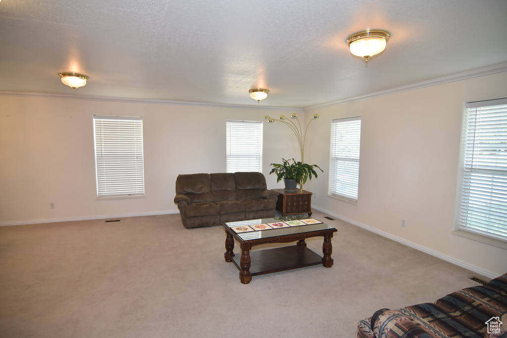 Living room with ornamental molding, light colored carpet, healthy amount of natural light, and baseboards