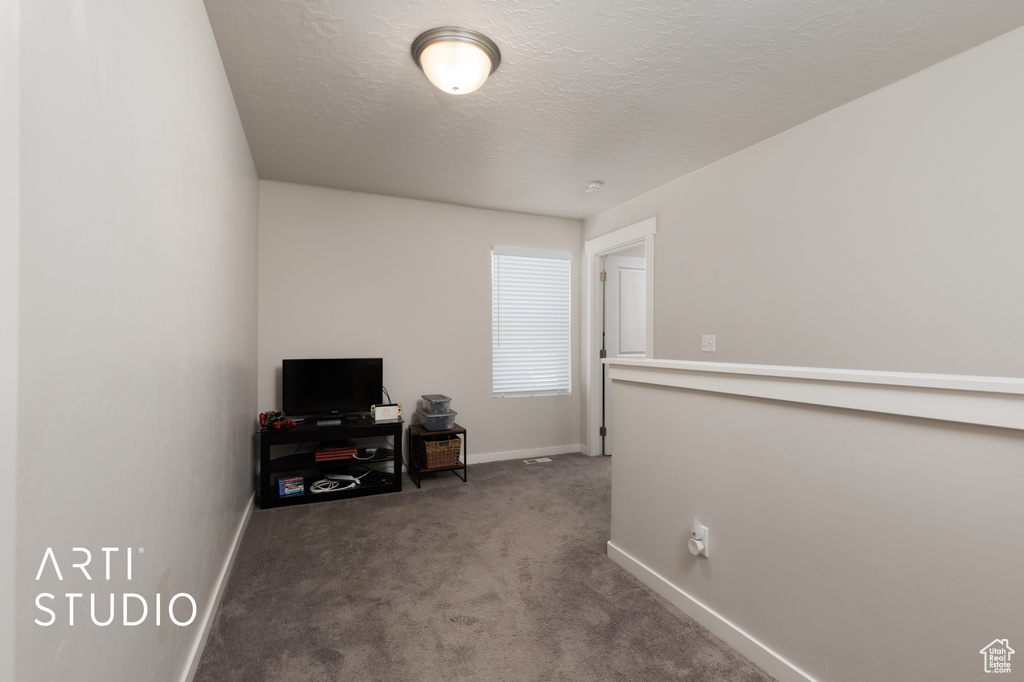 Home office featuring carpet, baseboards, and a textured ceiling