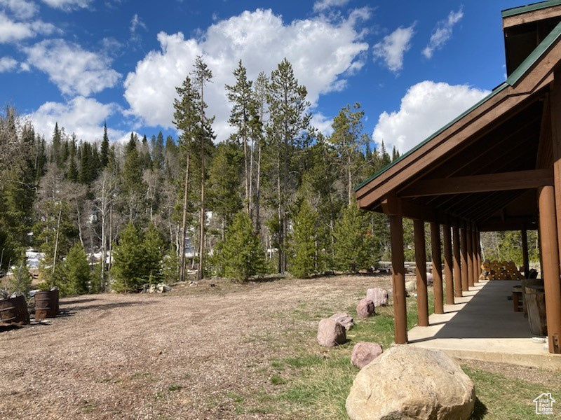 View of yard featuring a view of trees