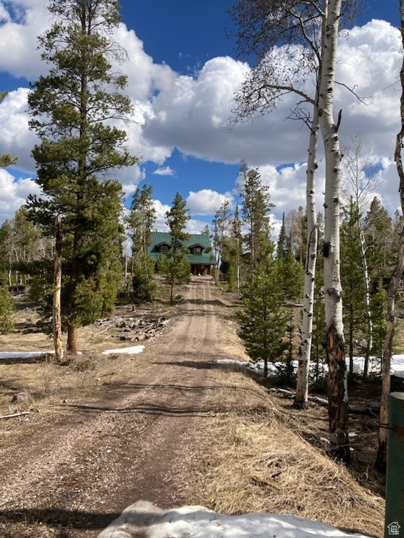 View of street featuring dirt driveway