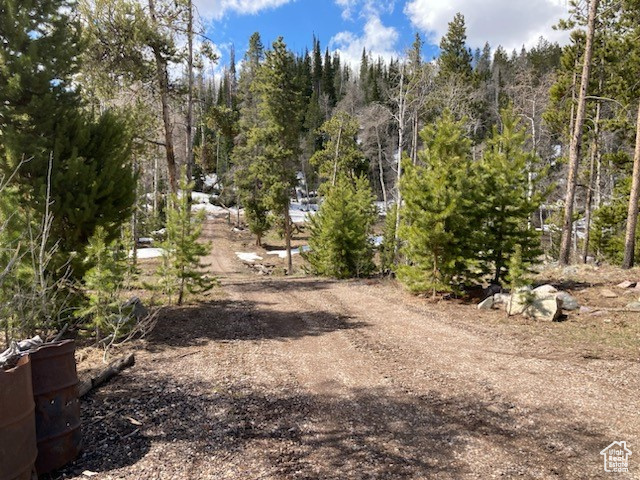 View of road with a forest view