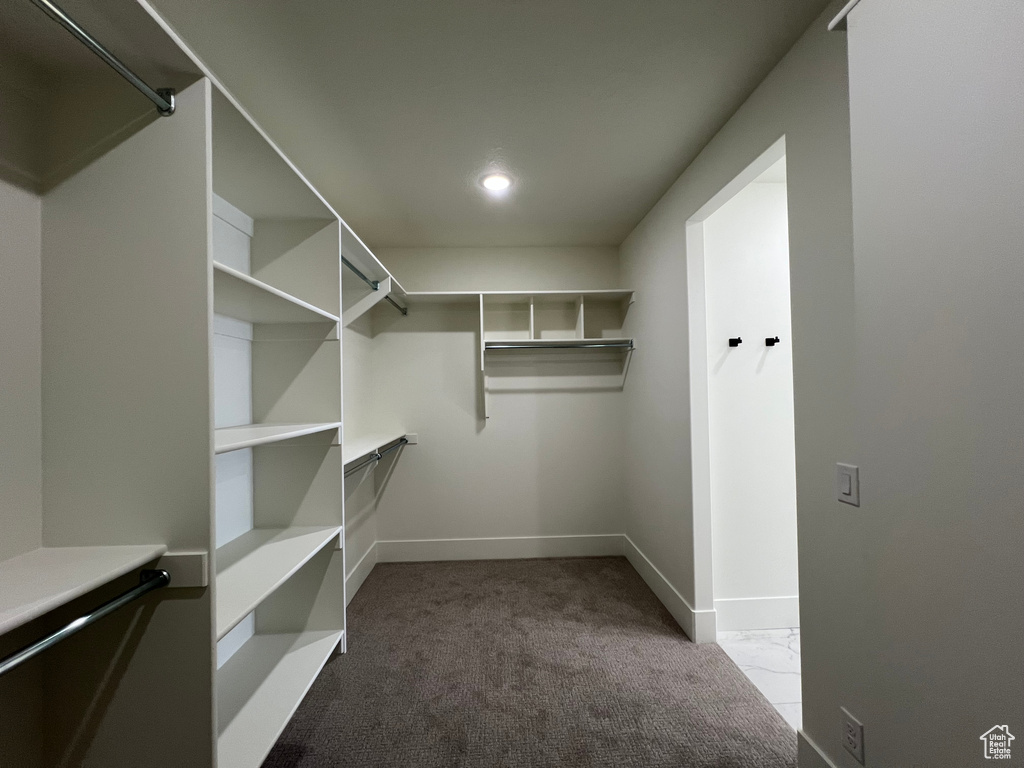 Spacious closet with carpet floors