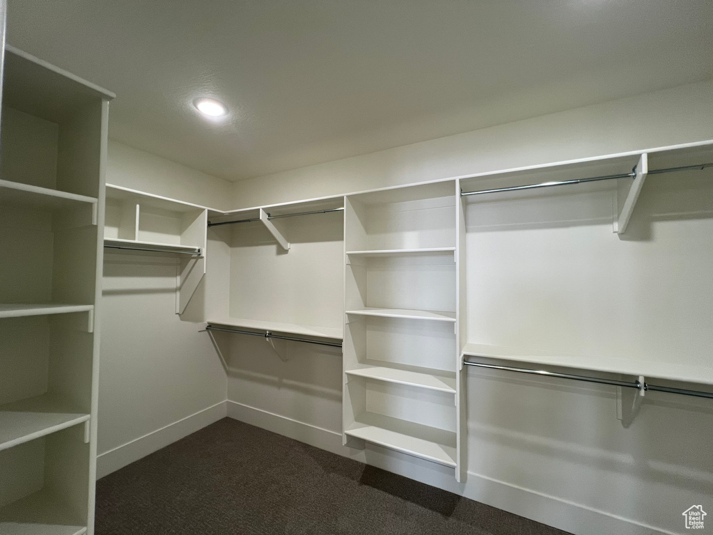 Walk in closet featuring dark colored carpet