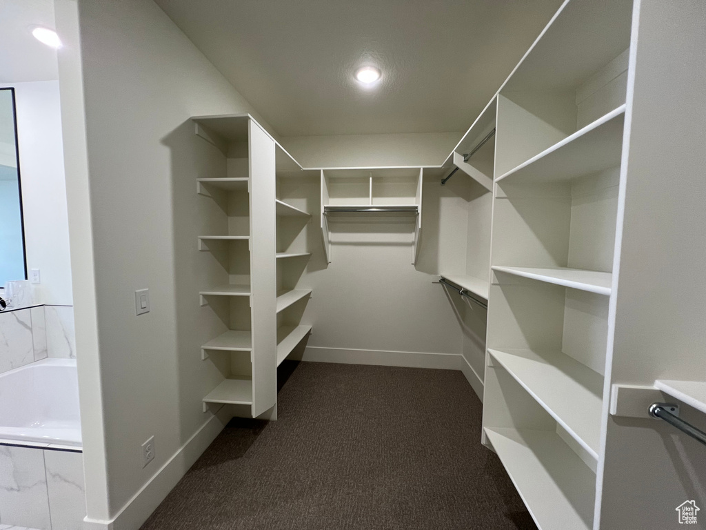 Spacious closet featuring dark carpet