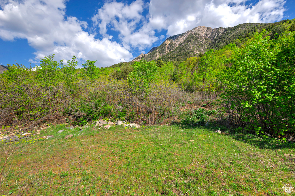 Mountain view