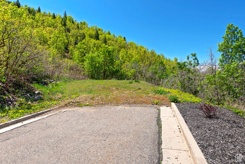 View of yard with a forest view
