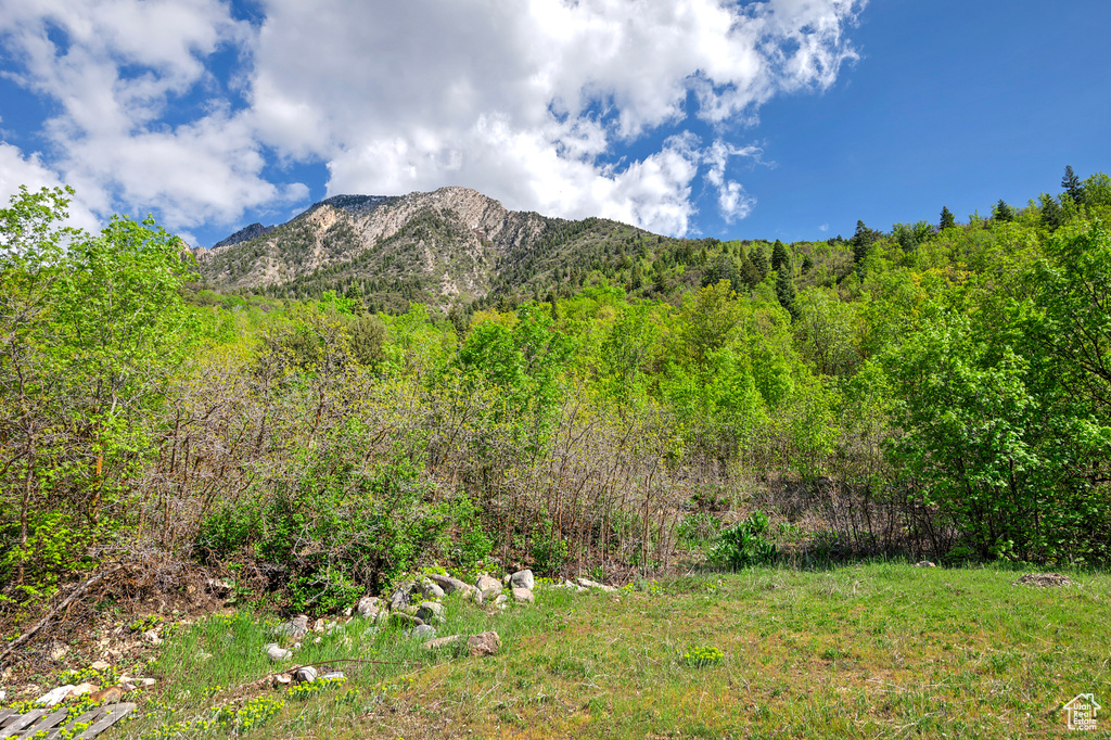 View of mountain background featuring a forest