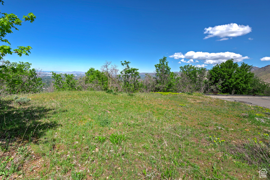 View of yard with a mountain view