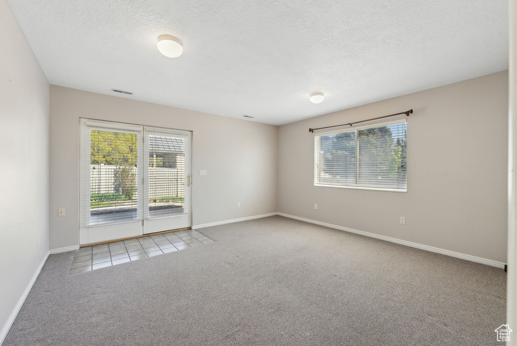 Carpeted spare room featuring baseboards, a healthy amount of sunlight, and a textured ceiling