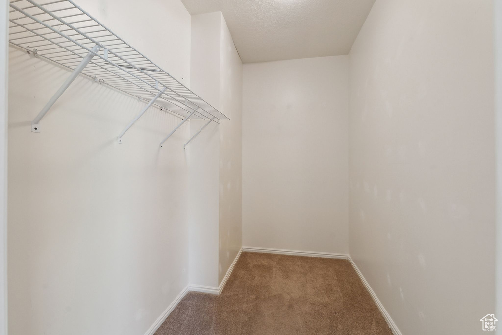 Spacious closet featuring carpet
