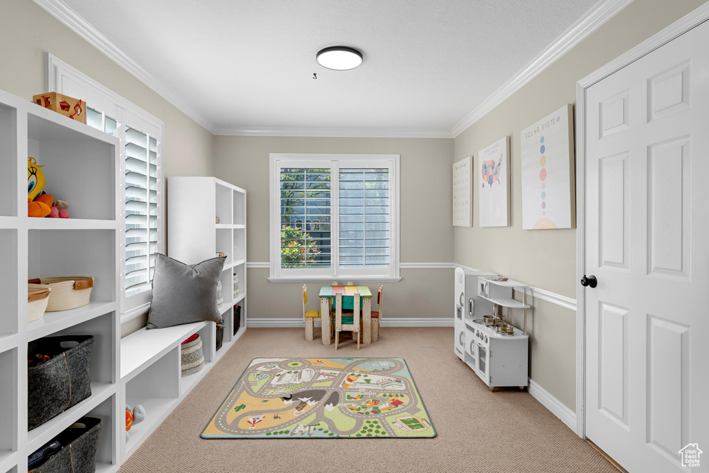Recreation room featuring crown molding, baseboards, and carpet flooring