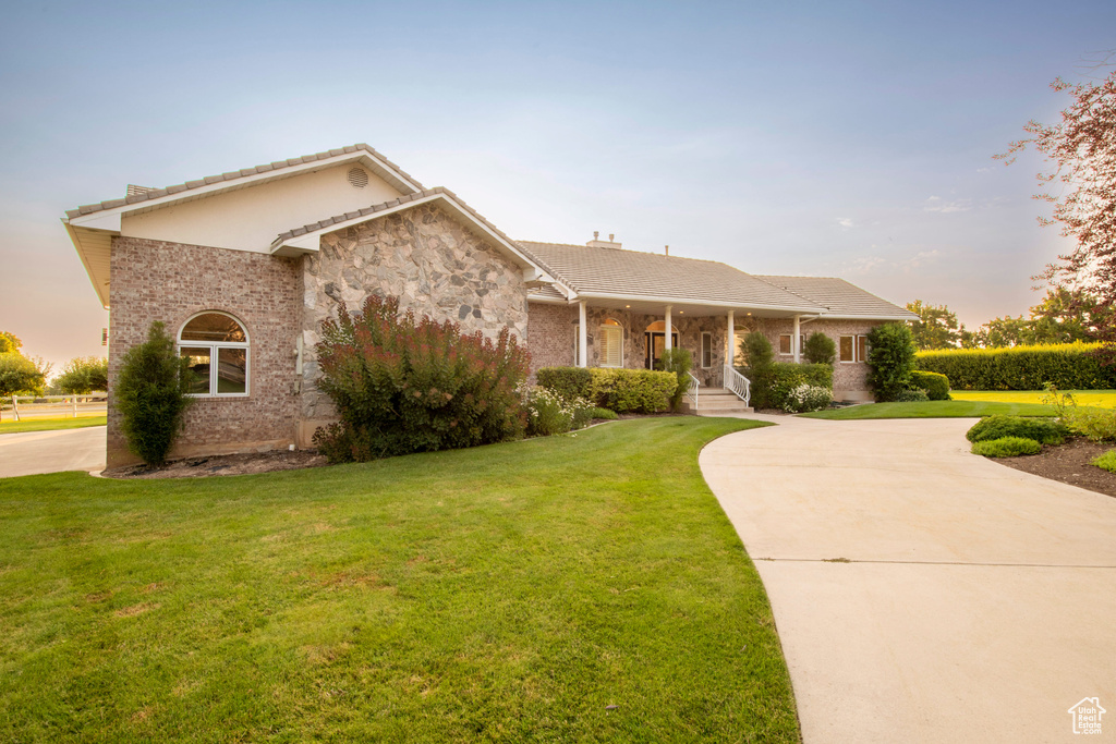 Ranch-style home with curved driveway, a yard, and a tile roof