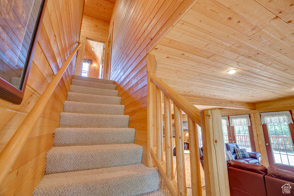 Stairway featuring wood ceiling and wooden walls