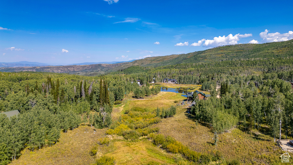 Drone / aerial view featuring a mountain view and a wooded view