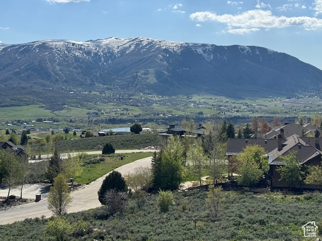 Mountain view