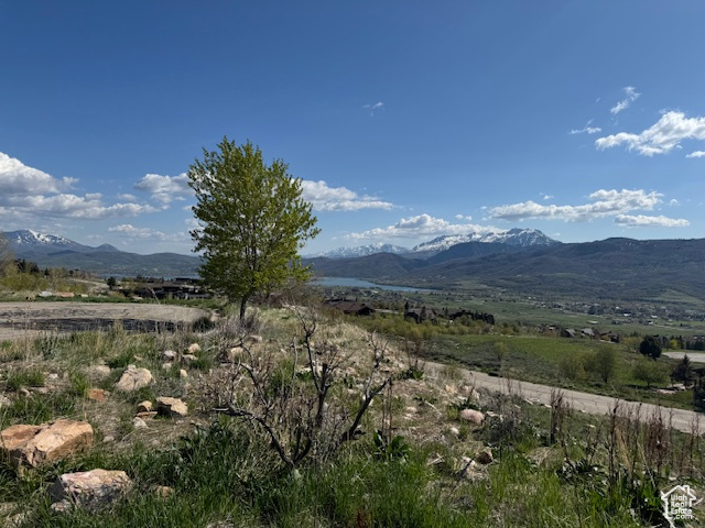 Mountain view