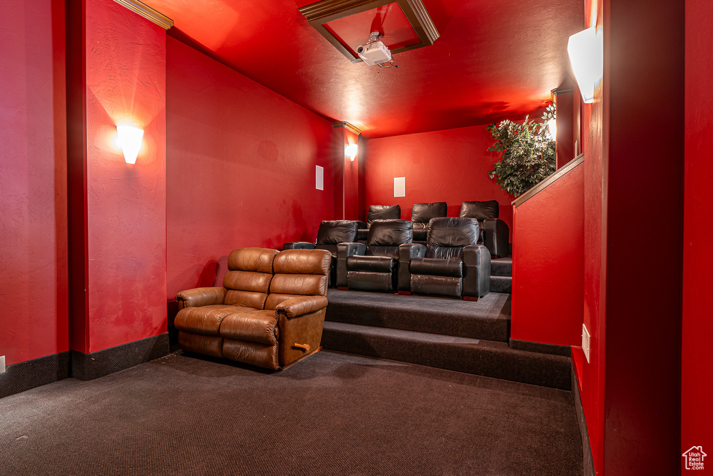 View of carpeted cinema room