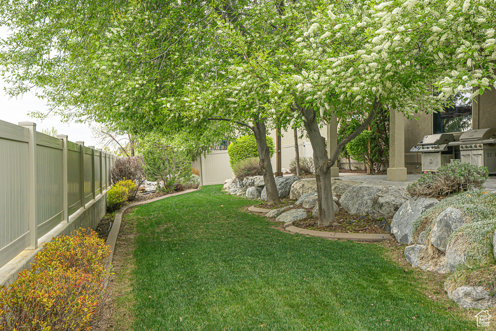 View of yard with exterior kitchen and a fenced backyard