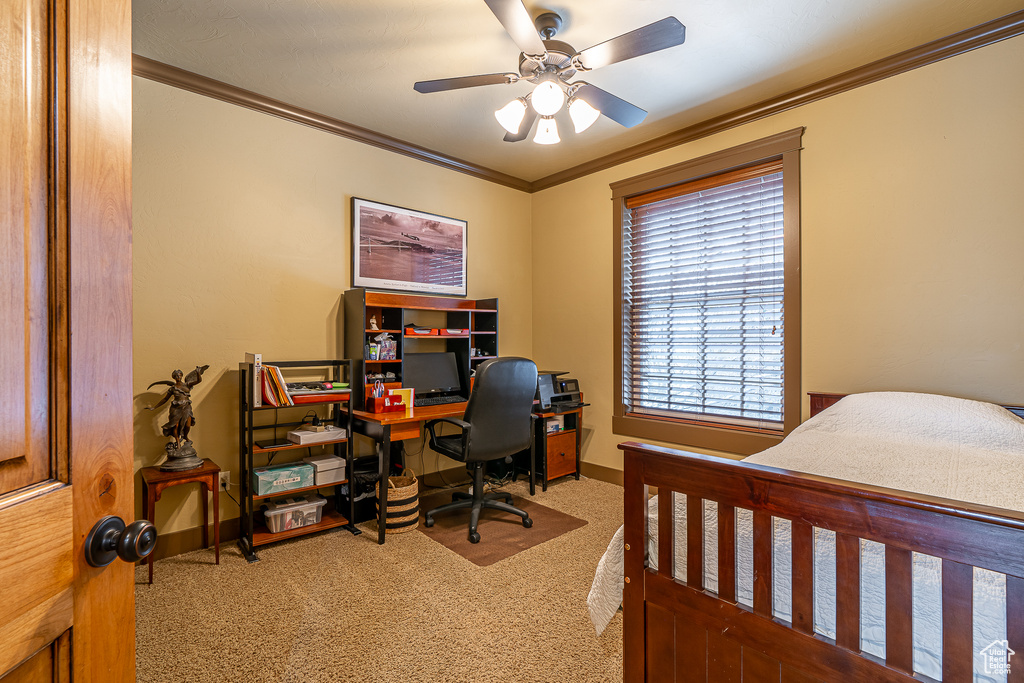 Carpeted bedroom with ornamental molding, baseboards, and a ceiling fan