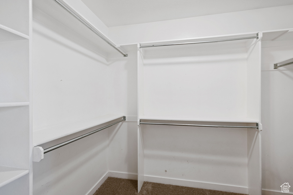 Spacious closet featuring carpet floors