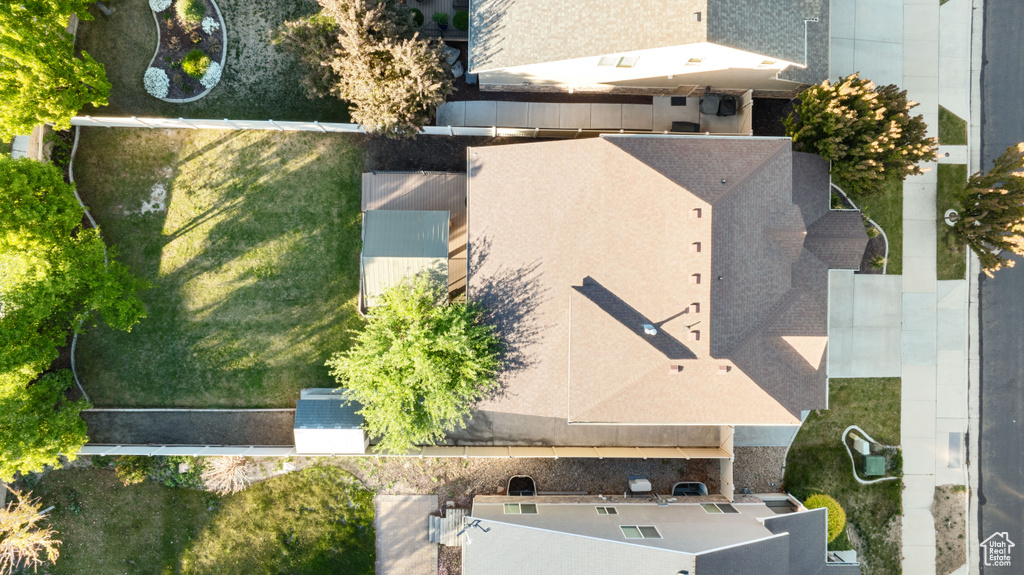 Bird\'s eye view