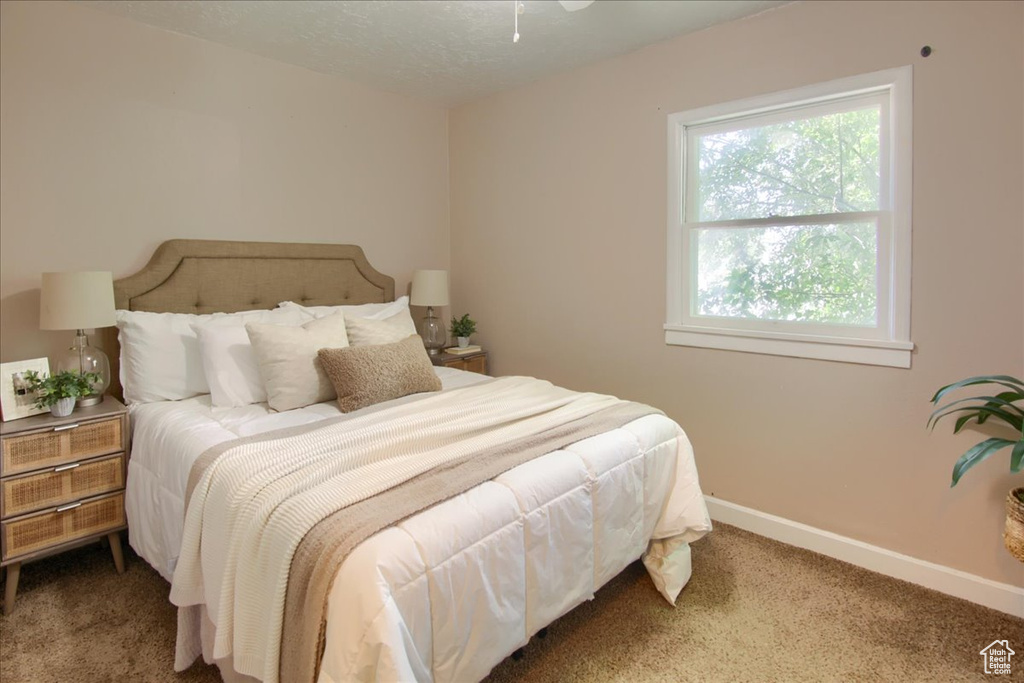 Bedroom featuring carpet floors and baseboards