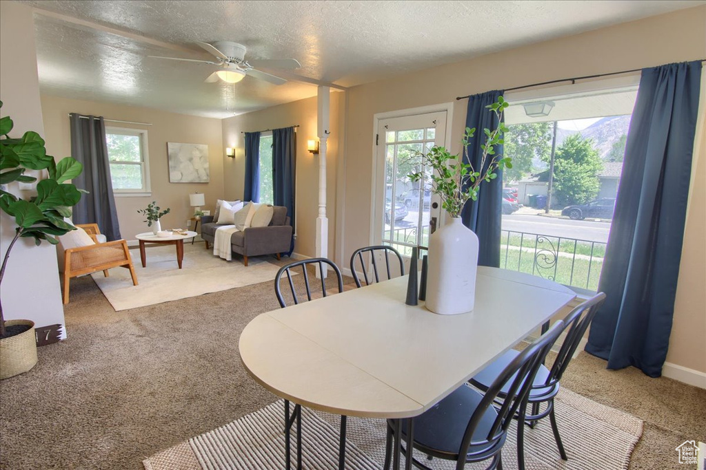 Dining room featuring light carpet, ceiling fan, a textured ceiling, and baseboards