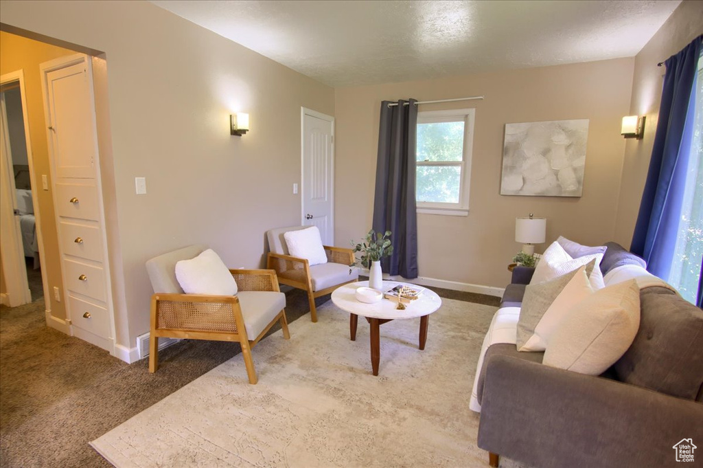 Carpeted living room with baseboards