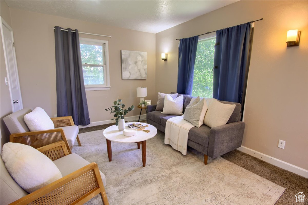 Living area with baseboards and carpet floors