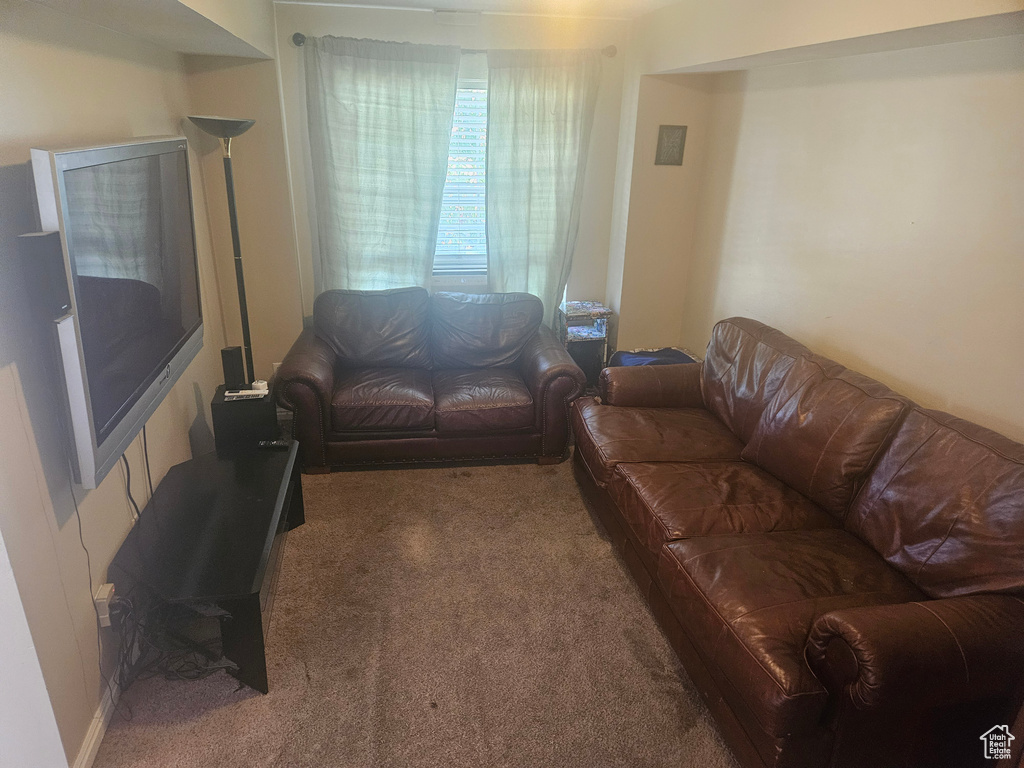 Living area with carpet flooring