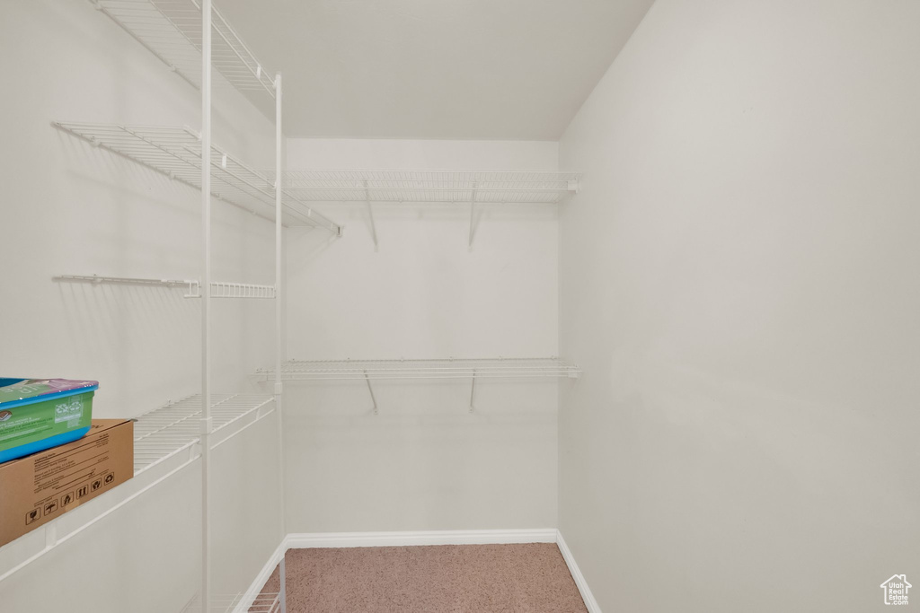 Spacious closet with carpet