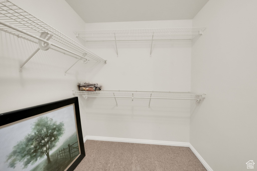 Spacious closet featuring carpet flooring