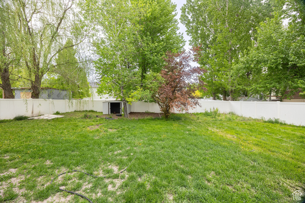 View of yard with an outbuilding