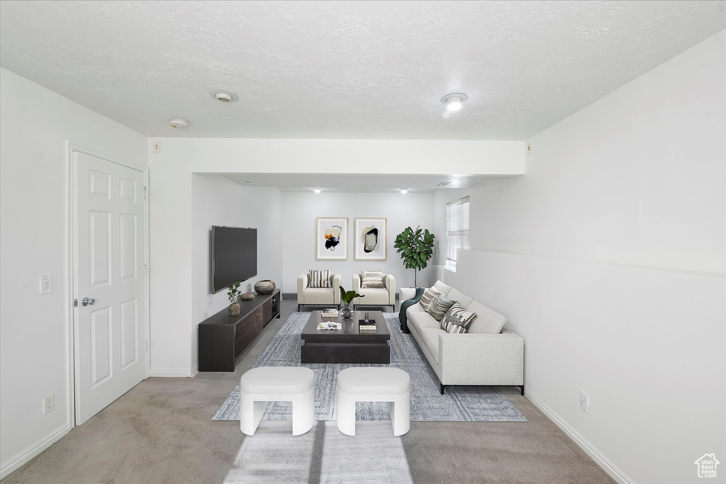 Living room with carpet floors, a textured ceiling, and baseboards