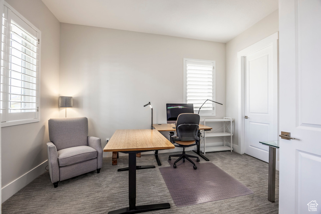Office featuring carpet flooring, baseboards, and plenty of natural light