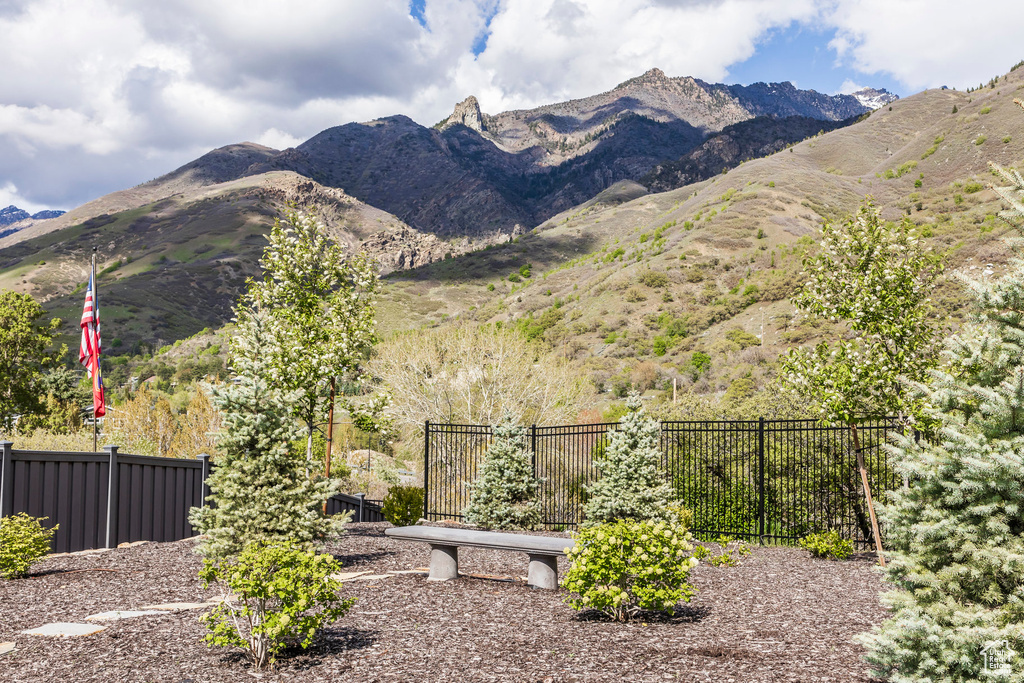 Mountain view