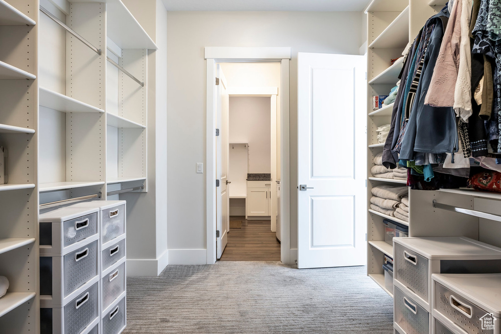 Spacious closet with carpet flooring