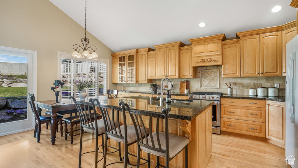 Kitchen with light wood-style floors, gas range, an island with sink, and a sink