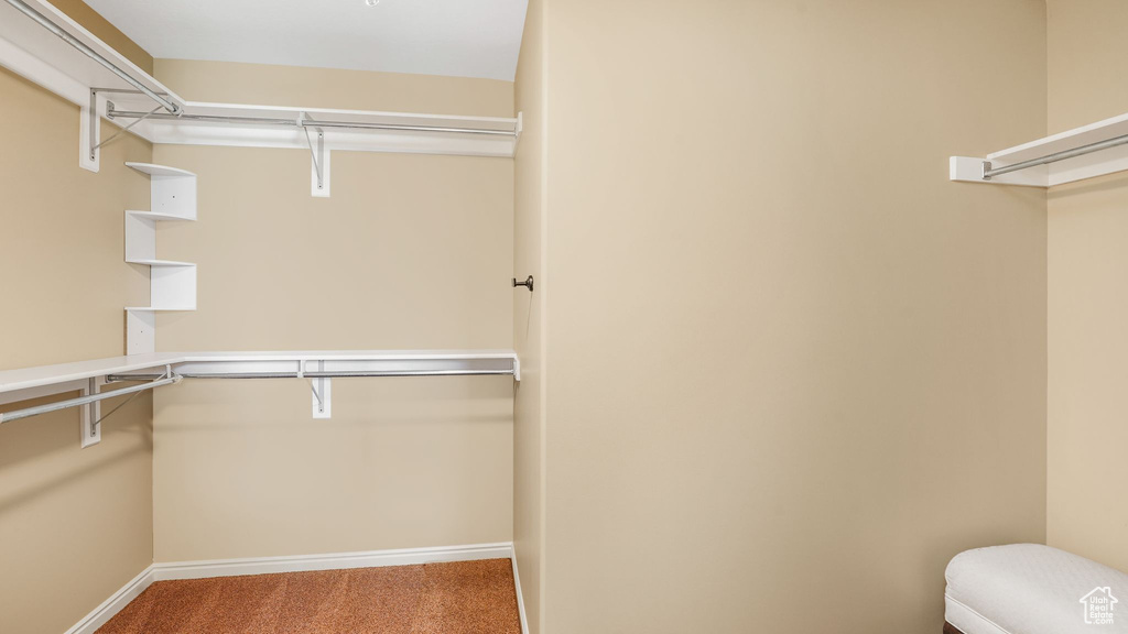 Walk in closet with carpet flooring