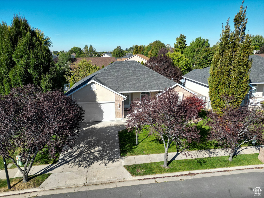 View of front of property featuring driveway, roof with shingles, a front yard, an attached garage, and stucco siding