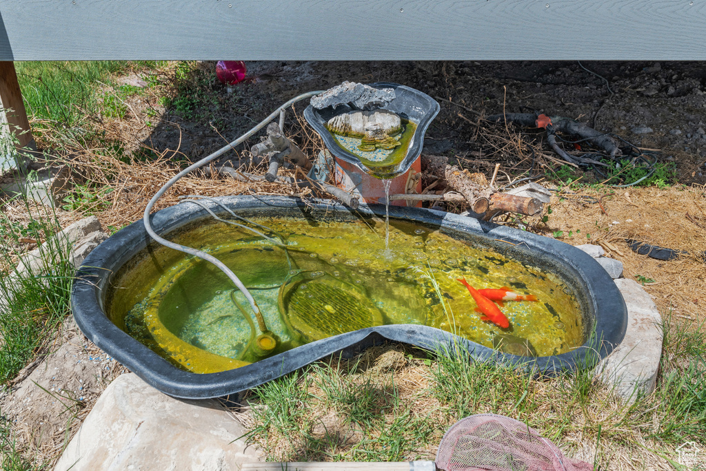 Details featuring a garden pond
